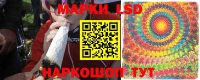 сатива Абакан