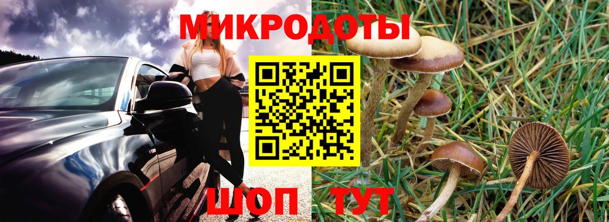 Россия  Галлюциногенные грибы ЛСД  купить наркоту  Псилоцибиновые грибы Magic Shrooms  Вход с VPN 