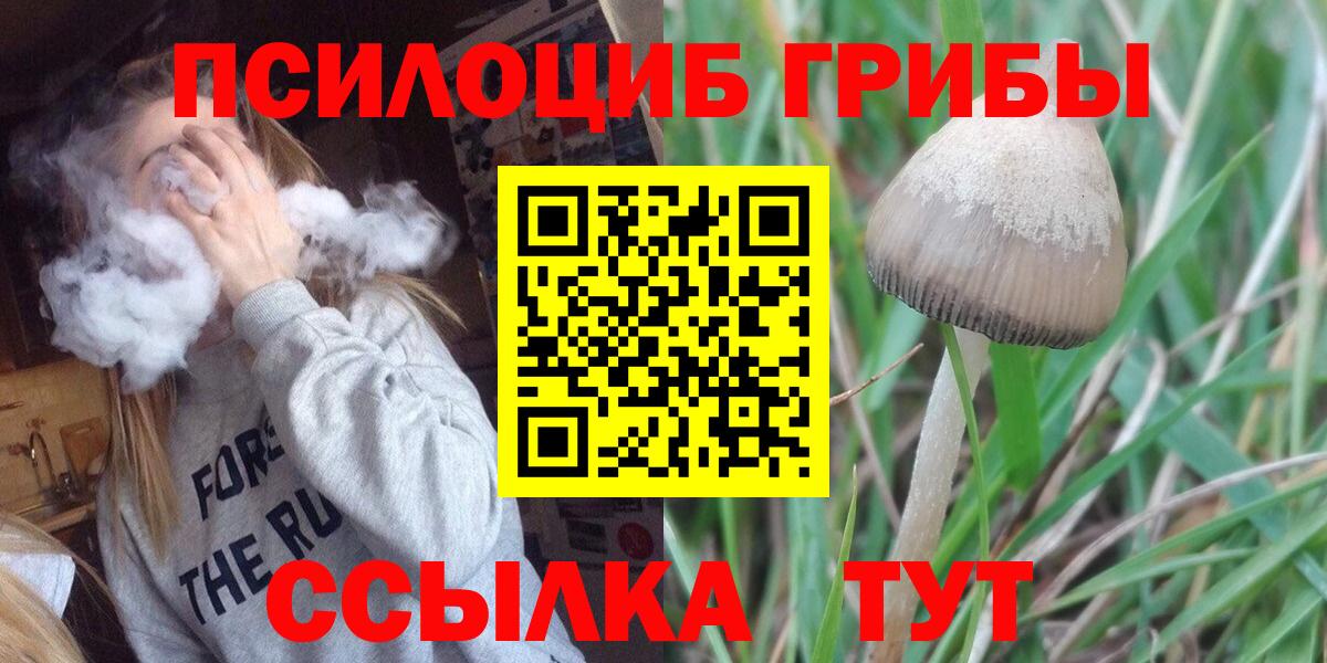 Псилоцибиновые грибы прущие грибы Россия